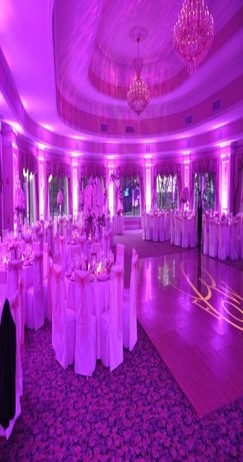 Backstage NZ offers expert event production for weddings, creating unforgettable experiences with stunning lighting, sound, and staging tailored to your celebration